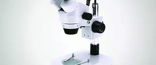 Microscopes-d’observation